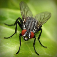 /album/nieliketilje/photolia-a01-jpg/