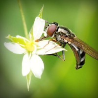 /album/nieliketilje/photolia-a02-jpg/