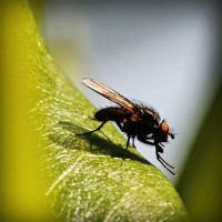 /album/nieliketilje/photolia-a04-jpg/