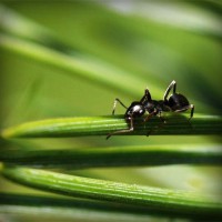 /album/nieliketilje/photolia-a05-jpg/