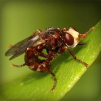 /album/nieliketilje/photolia-a06-jpg/