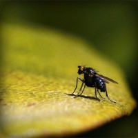 /album/nieliketilje/photolia-a07-jpg/