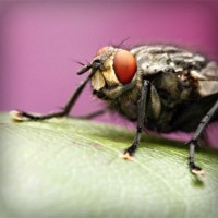 /album/nieliketilje/photolia-a08-jpg/